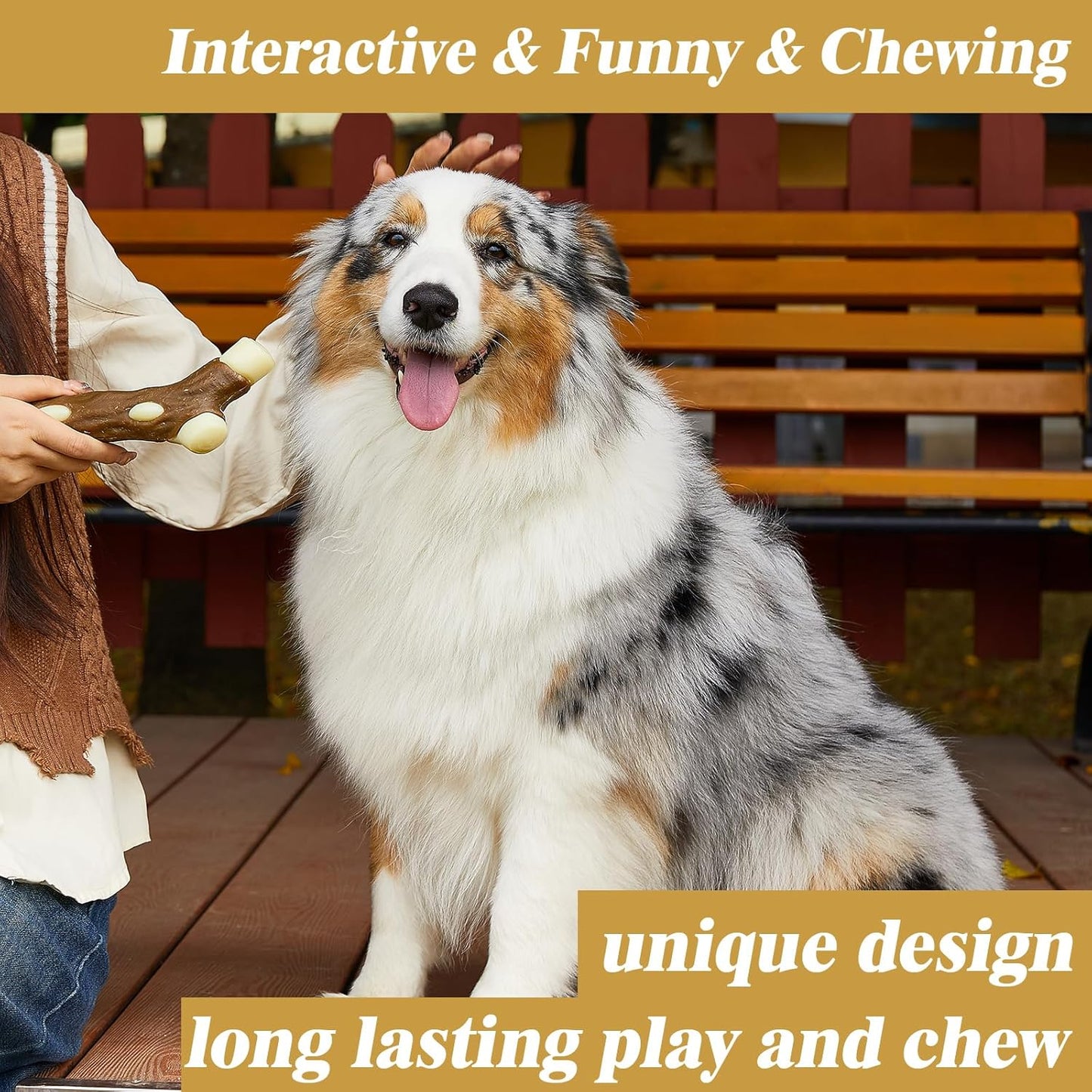 Summer Chill Chew Bone