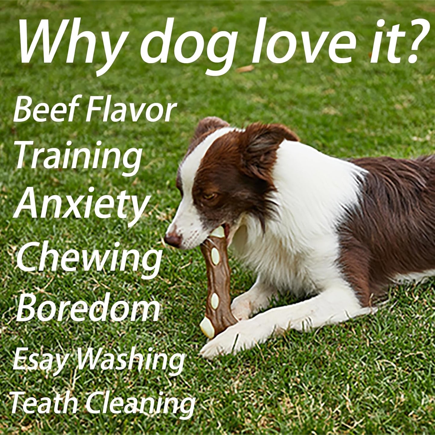 Summer Chill Chew Bone